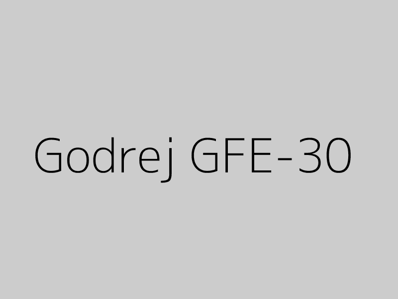 Godrej GFE-30 Forklift